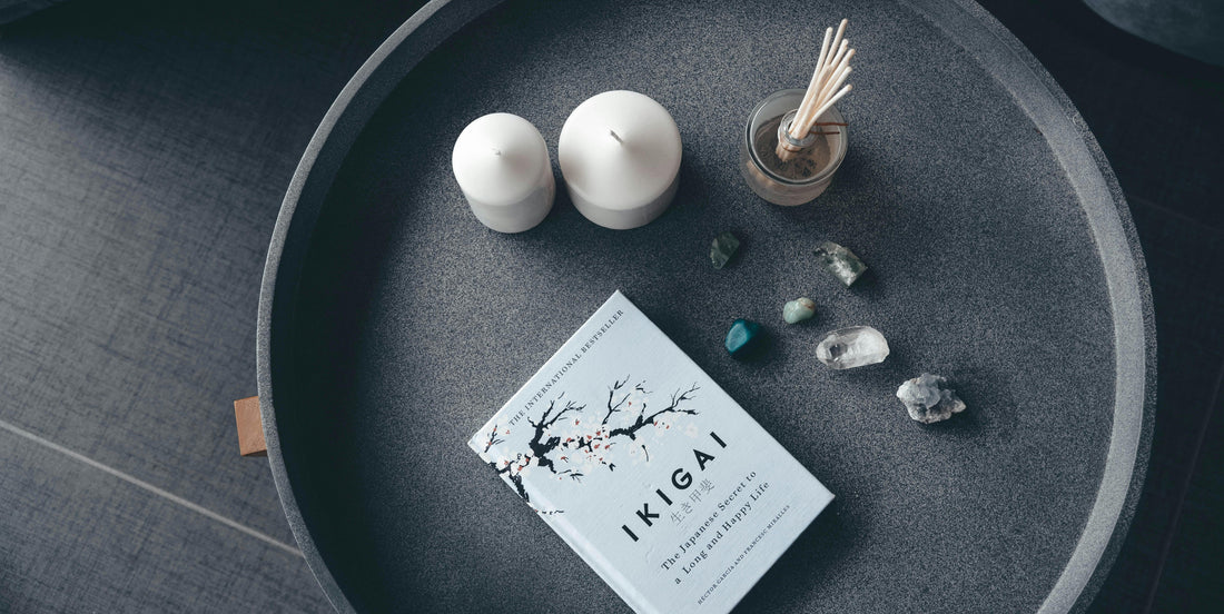 🥋 La Razón de Existir en la Moda: El Ikigai del Universo TorikoShop